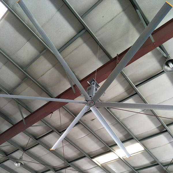 専門の大きい現代天井に付いている扇風機4mアルミ合金の刃との13ft