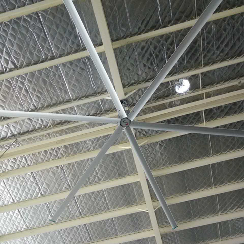 11ft 1000mmの天井に付いている扇風機/3.4m産業研修会のための6つの刃の天井に付いている扇風機